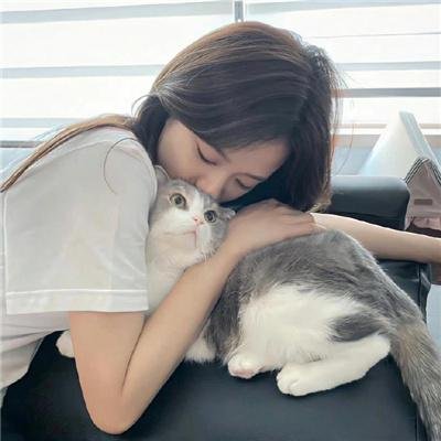 公理 在线观看封面